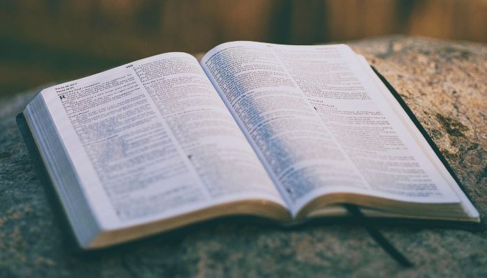 Bible 1